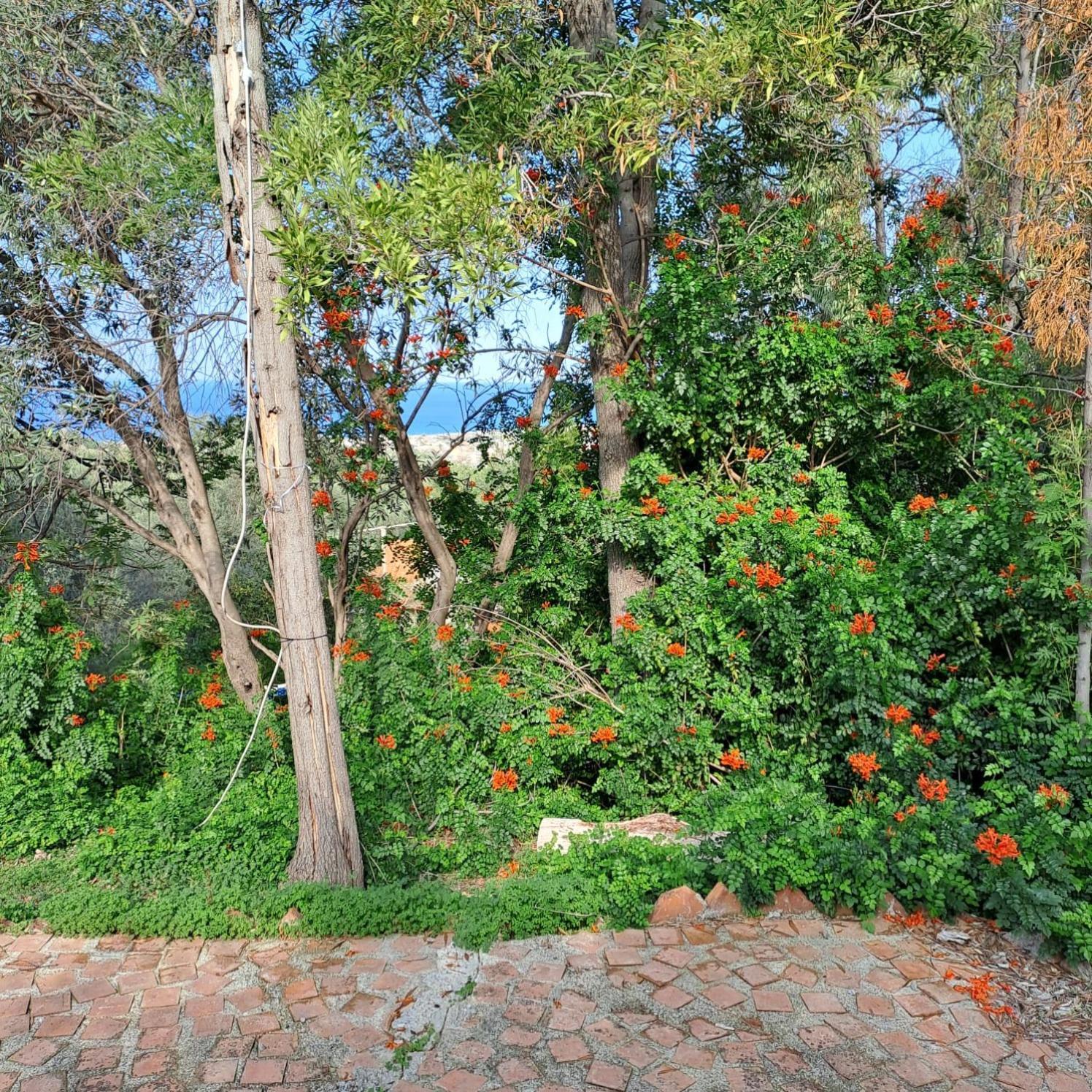 Villa Gatto Rometta Marea Exteriér fotografie